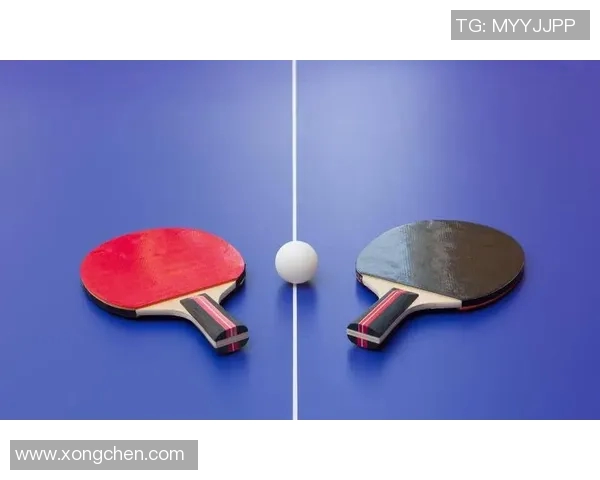 乒乓球新手必看攻略:轻松入门与状态调整全指南 乒乓球新手必看攻略:轻松入门与状态调整全指南