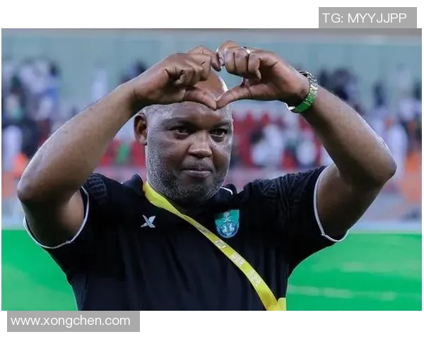 南非足球明星有哪些值得关注的球员及其成就揭秘