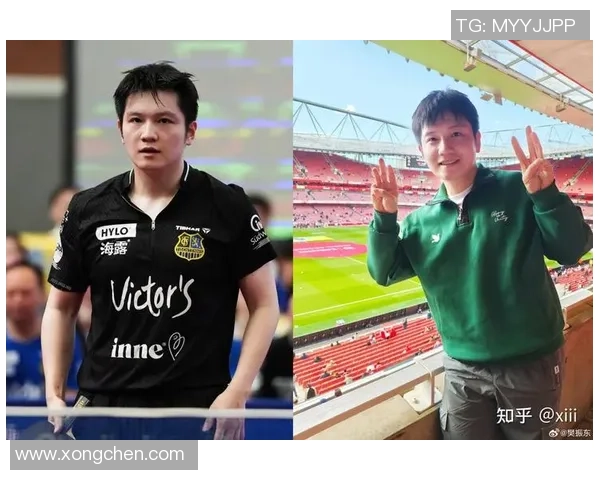 杭州乒乓球队在冠军赛中的技术表现分析与点评