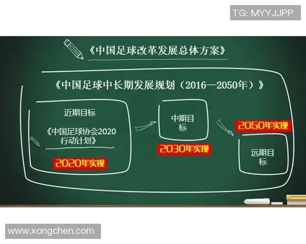 日本足球明星体重标准解析与健康管理建议