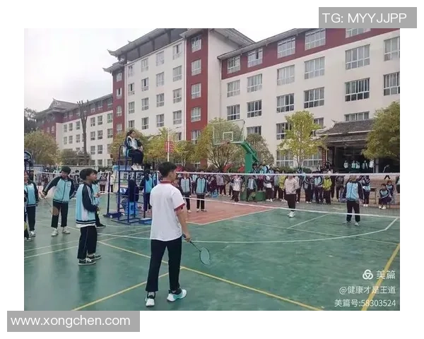 西安羽毛球队转型之路的挑战与机遇全景报道